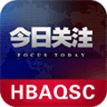 格子图9
